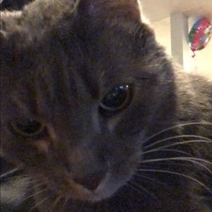 Meet your Posher, Kristopher